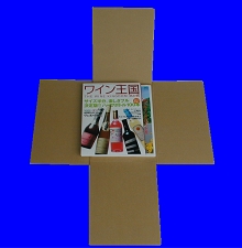 ゆうメール用ケース「キャッスルケース A−4E 窓付」